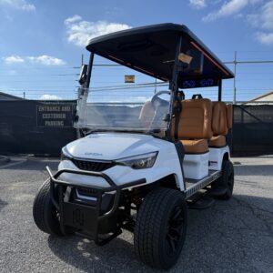 2026 DACH Apollo - White with Brown Luxury